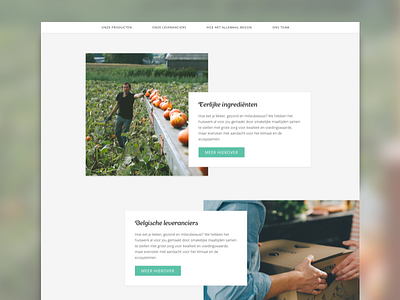 Food webdesign