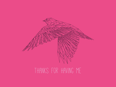 Hello there Dribbble! bird debut first lines pink shot