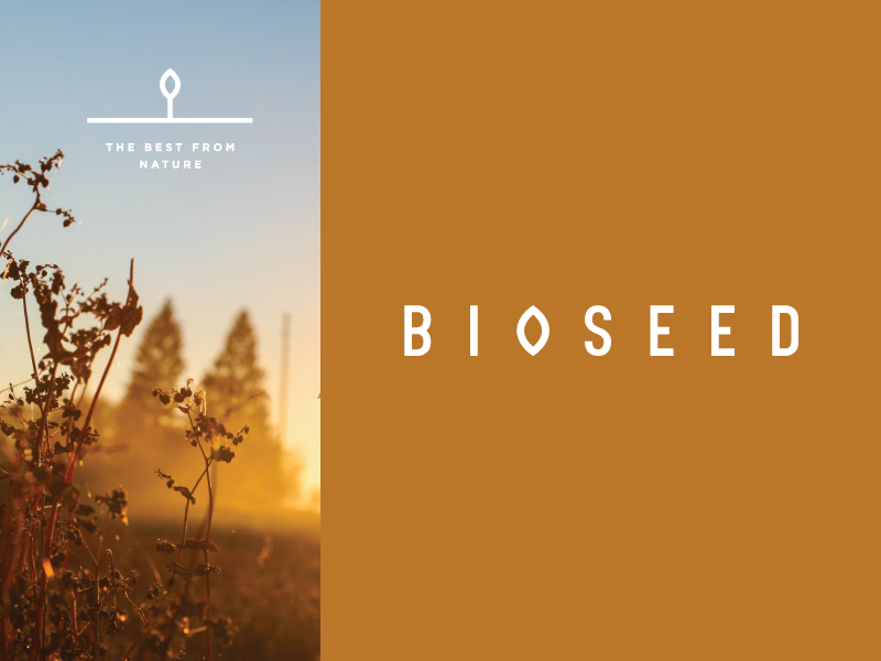 B I O S E E D identity agriculture seed mark logotype flat logo symbol icon design bioseed brandidentity branding