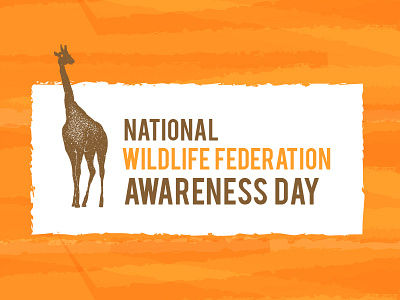 National Wildlife Federation graphic design header invitation