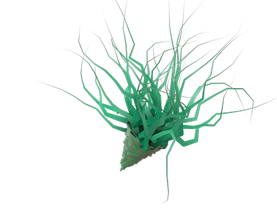 Air plant magic 3d airplant c4d leaf plant vines