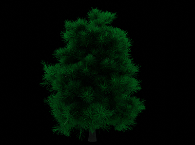 Pine Tree Asset 3d game asset illustration props