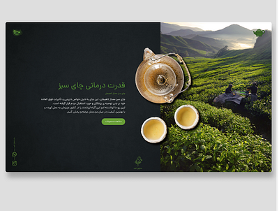 Green Tea Store app art creative design designinpiration designstudio dribbble best shot graphic design ui design uidesign uiux user experience user interface userexperience userinterface uxdesigner web webdesign webdesigner website