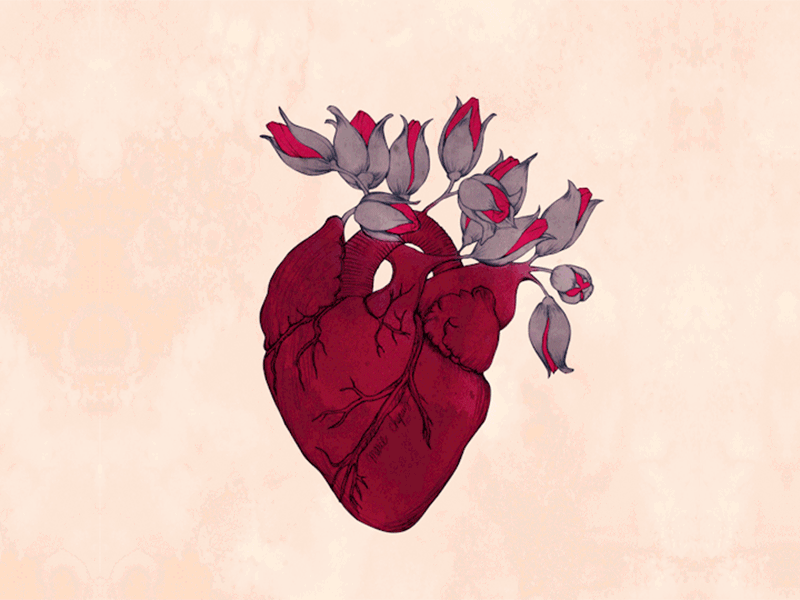 heart flowing drawing flowing heart illustration