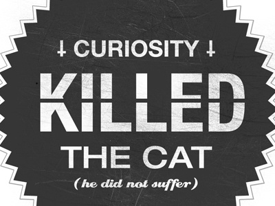 Curiosity black cat font grey logo