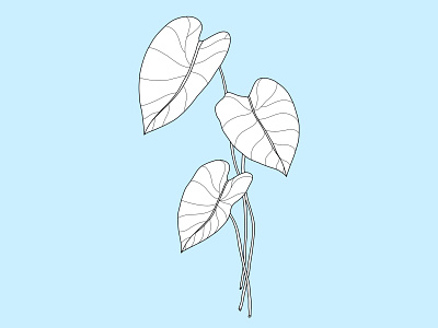 Anthurium Leaves botanical branding design digital design floral graphic design illustration logo minimal outline simple