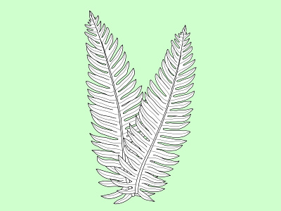 Sword Ferns botanical branding design digital design floral graphic design illustration logo minimal outline simple