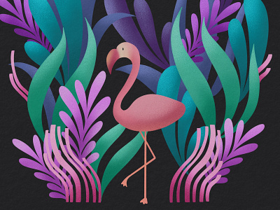 Tropical Botanicals aesthetic bird calm colorful dark design flamingo illustration jungle procreate tropical