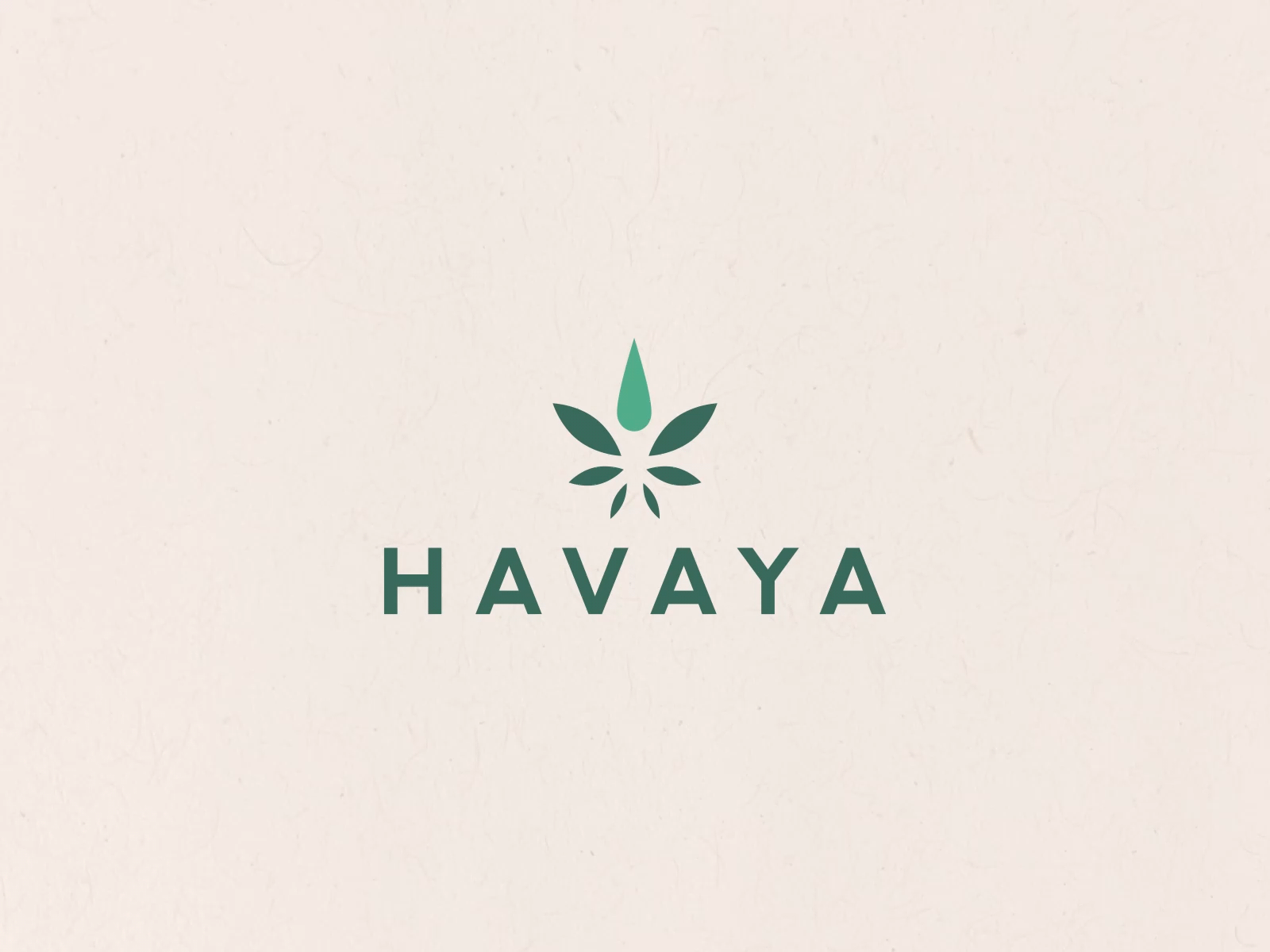 CBD logo animation animation branding design graphic design illustration logo motion motion design motion graphics vector