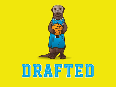 Drafted animal basketball debut illustration illustrator new otter welcome