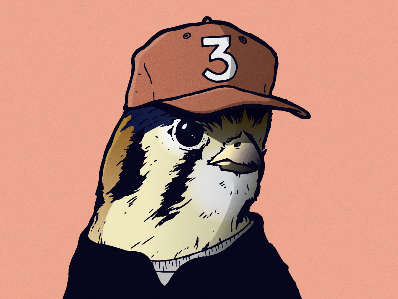 Chance the Raptor raptor kestrel eagle falcon color design ink illustrator birds illustration hip-hop rap