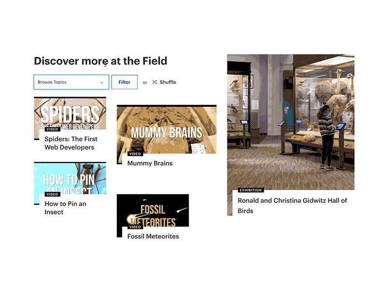 Science Shuffle content interaction design microinteractions museum science ui ux web web design widget