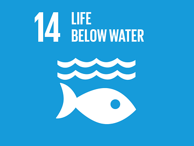 SDG 14 - Life Below Water 2d animation after effects animal rights animation climate crisis disruption icon animation motion design sdg social change social impact sustainability sustainable united nations