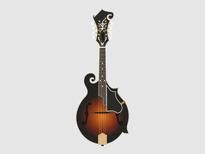 Mandolin Illustration 2d animation design illustration mandolin music