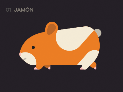 Ham hamster illustration jamon
