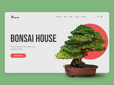 Bonsai House adobe photoshop bonsai calm design figma house japan japanese meditation mindfulness minimalism plants pot tree ui web web design zen