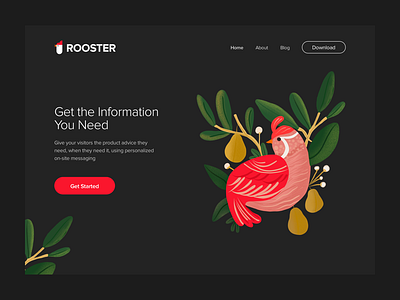 #DailyUI - Rooster dark design illustration landing logo news page ui visual