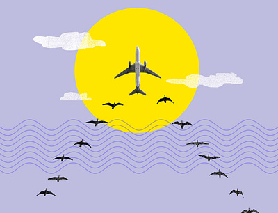 Snowbirds collage conceptual illustration geometric graphic design illustration minimalist travel vector