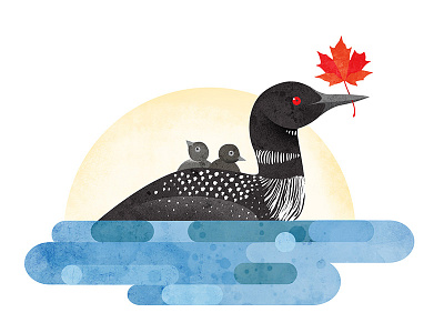 Loon - for Canada Day animals birds canada illustration photoshop texture vector