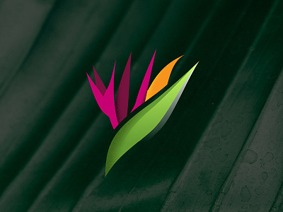 Bird of Paradise branding flower foliage logo logotype nature tropical vector