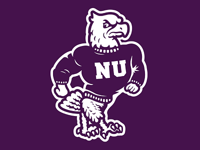 Niagara University Purple Eagles basketball cartoon college eagles mascot mascot logo ncaa niagara niagara falls niagara university purple eagles sweater vintage vintage logo