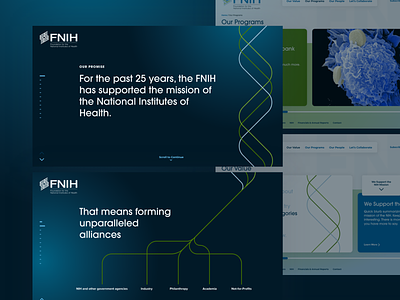 FNIH - Narrative Experience adobe xd interaction design product design ui user interface user interface design web design
