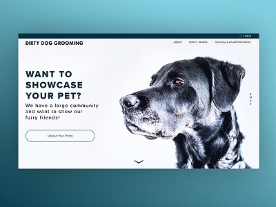 Dirty Dog Grooming Landing Page dailyui graphicdesign ui