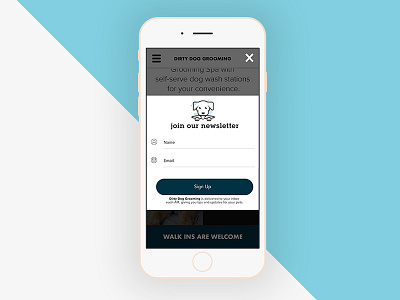 Dirty Dog Grooming Newsletter Sign UP dailyui graphicdesign ui