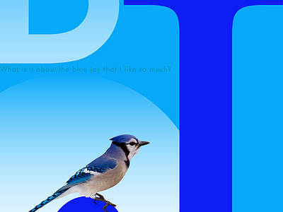 Blue J Poster blue jay orbital visual llc poster poster art tim tourtillotte typography