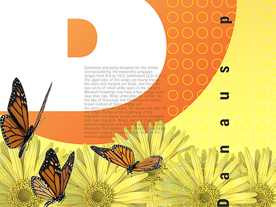 Butterfly branding butterfly minnesota nature orbital visual llc poster poster art thefuturchallenge tim tourtillotte typography
