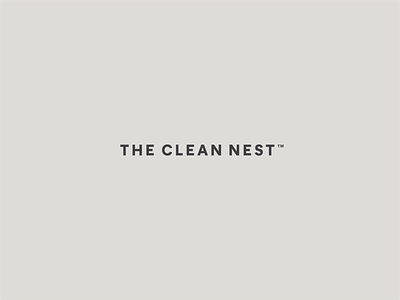 The Clean Nest Wordmark brand branding graphic design lockup logo type typography