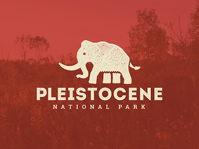 Pleistocene designs, themes, templates and downloadable graphic elements on  Dribbble