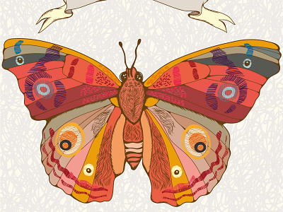 Butterfly Color butterfly graphic insect marushabelle vector