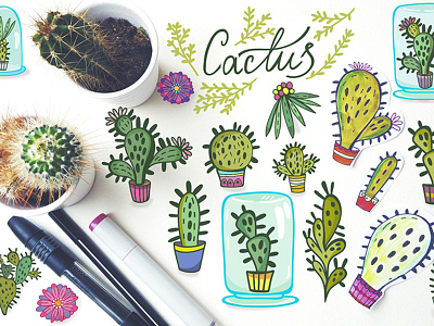 Cacti set