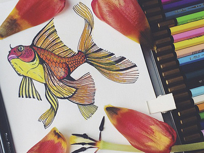 The fish fish marushabelle sketch tulip