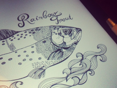 Rainbow Trout_iPad_stylus