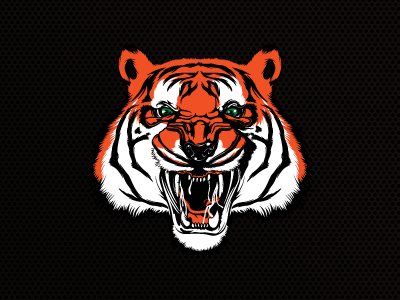 Celtic Tiger by Patrick Tuoti on Dribbble