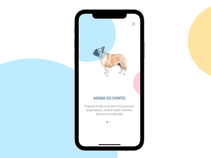 DailyUI 023 • Onboarding animation cat dog gif interaction intro iphone onboard onboarding pets wizard