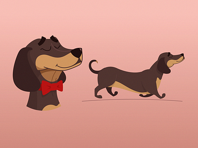 Dachshund adobe illustrator character design dachshund dog illustration portrait vector