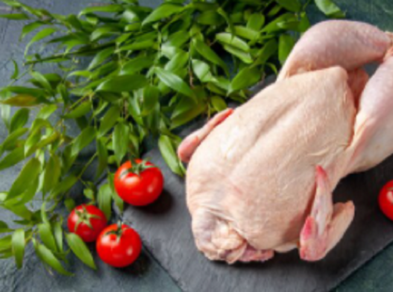 Fresh chicken, Online Order chicken shop by upendra on Dribbble