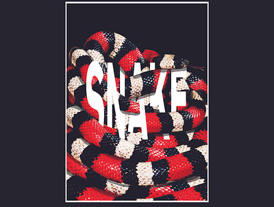 SNAKE Poster Challenge adobedesign adobephotoshop design digitalmontage graphic design
