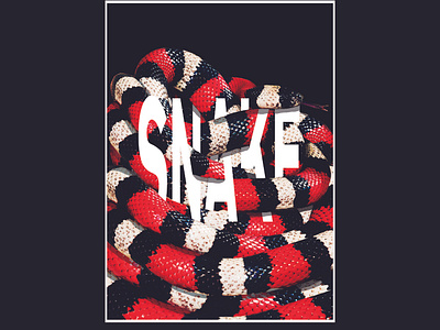 SNAKE Poster Challenge