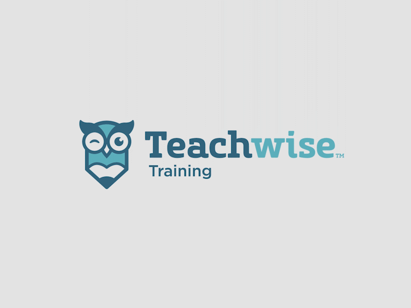 Teachwise Training Bumper after effects education motion graphics owl teachwise training