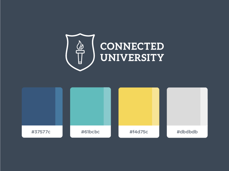 Brand Color. Цвета университетов. Палитра бренд. Brand Color Palette.