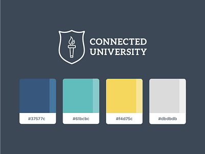 Brand Color Palette color palette color swatches colors connected university swatches university