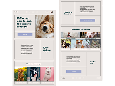 Website for a pet shelter (First page) branding design logo ui ux