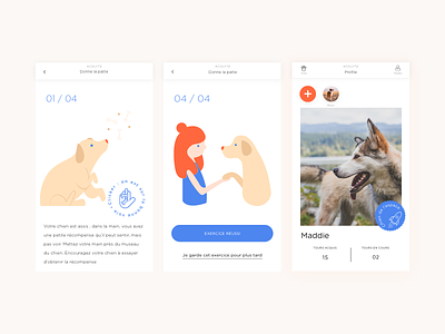 Acolyte 🐶 app application dog dogs illustration training