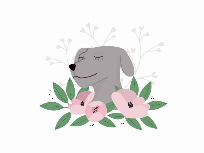 Dog's year pink color flower chinesenewyear newyear happynewyear dogyear dog graphisme colors illustration