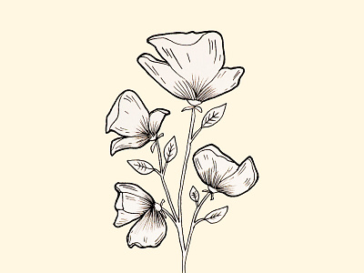 Inktober flower creative director design drawing flower illustration flowers illustration illustraion inking nature art