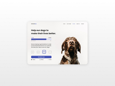 Thirty-second day of #DailyUI Challenge branding campaign crowdfunding crowdfunding campaign crowdfunding page dailyui design dog shelter donate donate page donation donation page figma page shelter ui uiux ux web website